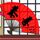 淘宝
